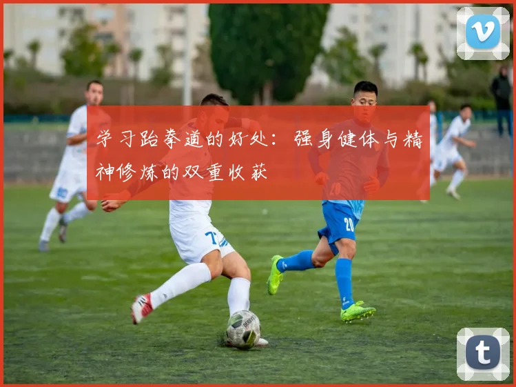学习跆拳道的好处：强身健体与精神修炼的双重收获