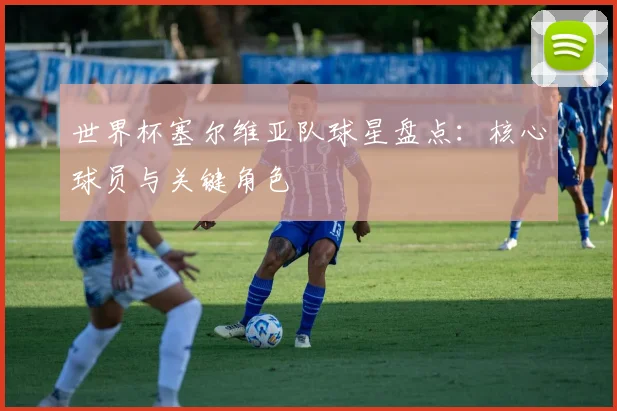 世界杯塞尔维亚队球星盘点：核心球员与关键角色